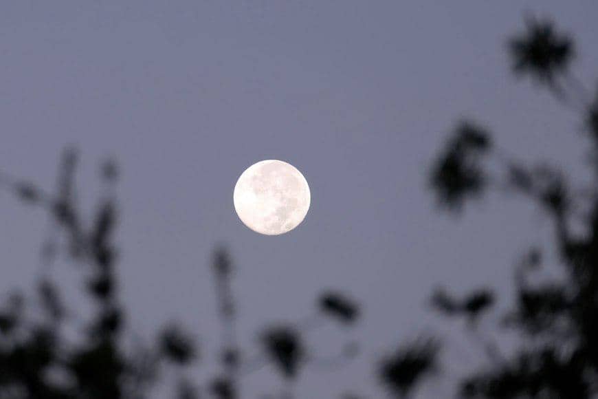 ilustrasi harvest moon
