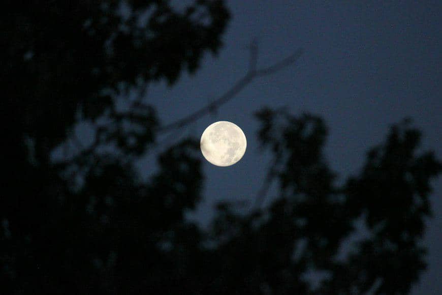 ilustrasi harvest moon