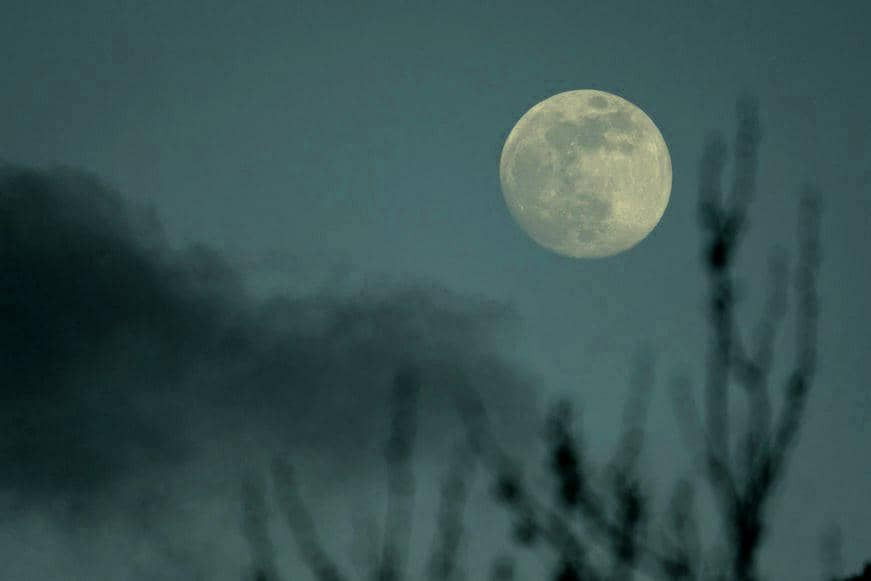 ilustrasi harvest moon