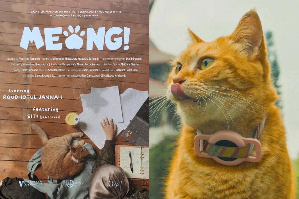 Fakta Meong! Film Kucing ITB yang Menang Penghargaan Internasional
