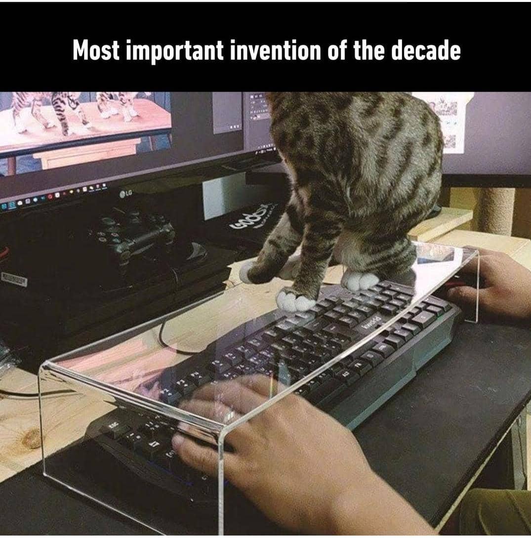 meme kucing tentang keyboard