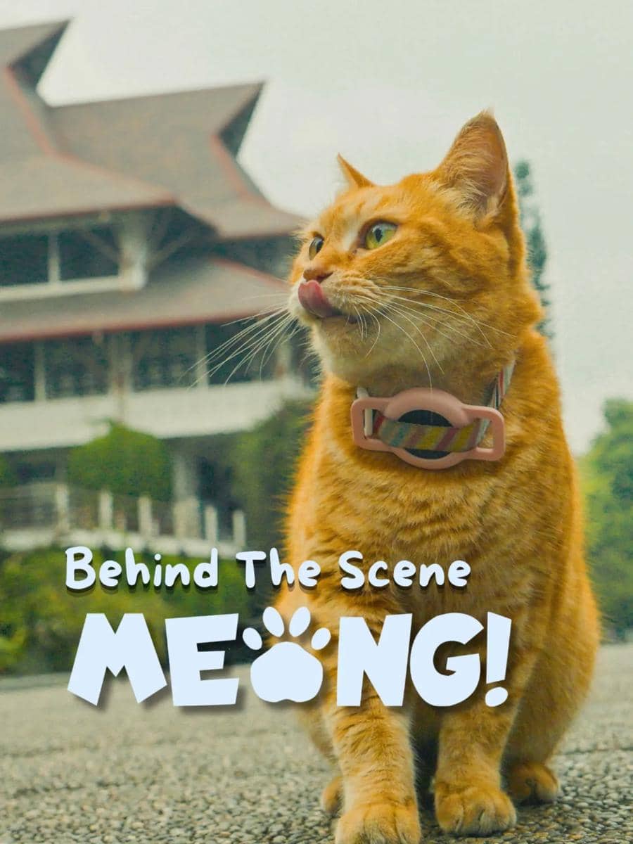 Meong!, film kucing ITB