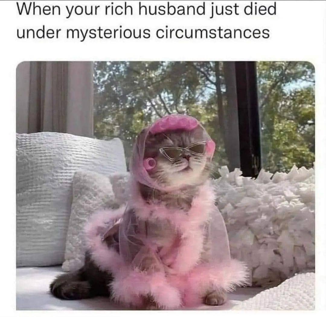 meme kucing tentang kaya raya