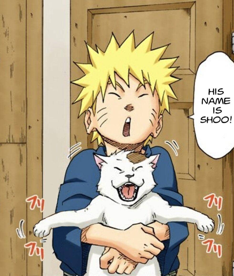 meme Naruto tentang kucing