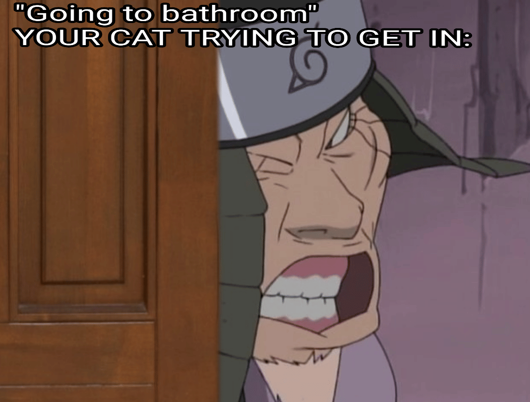 meme Naruto tentang kucing