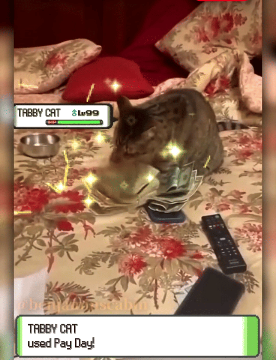 meme kucing tentang kaya raya