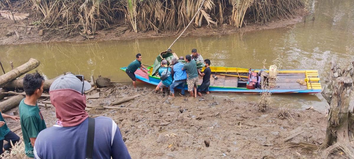 Warga Muba Tewas Diterkam Buaya Saat Cari Kepiting di Sungai Sembilang