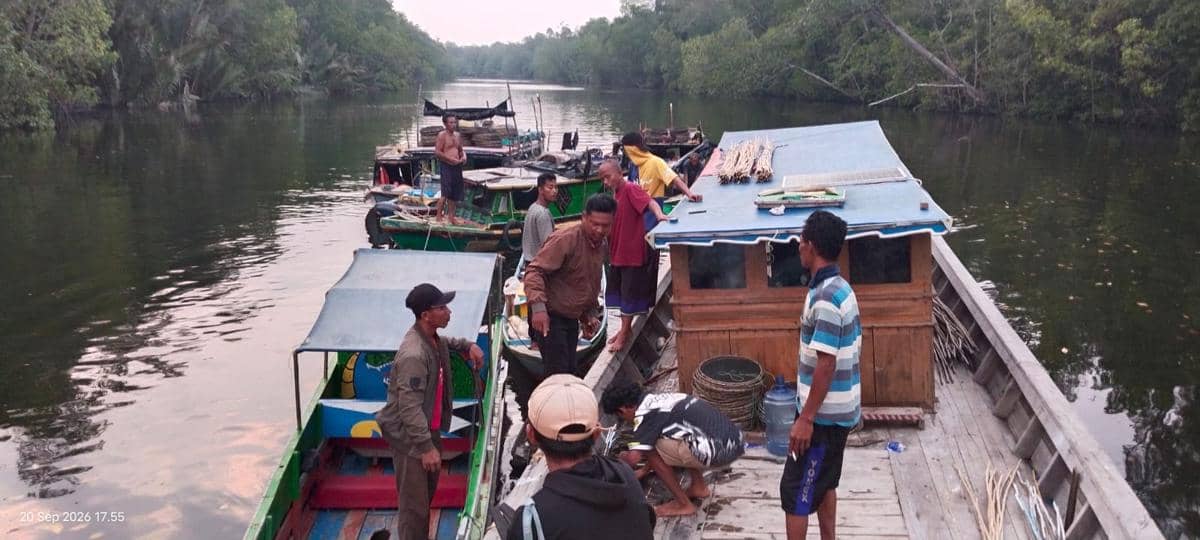 Korban serangan Buaya Muara di kawasan Sungai Sembilang, Banyuasin II