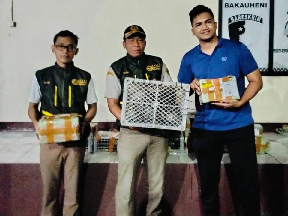 Penyelundupan 70 Kura-kura Terungkap, Ini Sorotan Kepala Karantina