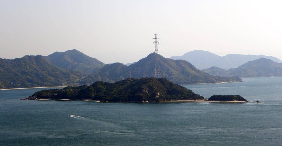 5 Fakta Okunoshima, Pulau Kelinci di Jepang yang Punya Sejarah Kelam