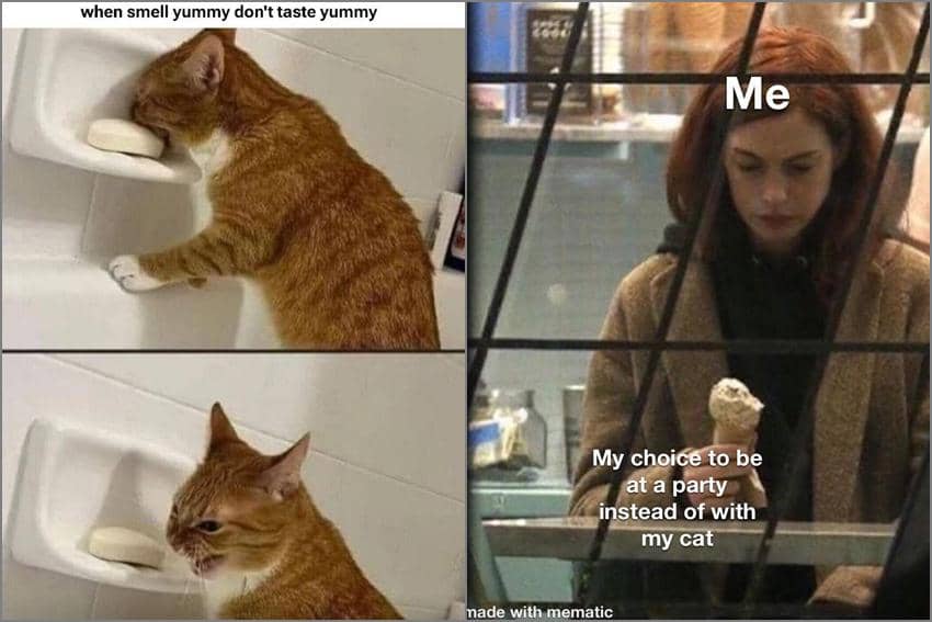 8 Meme Kucing tentang Penyesalan, Tobat karena Makan Sabun
