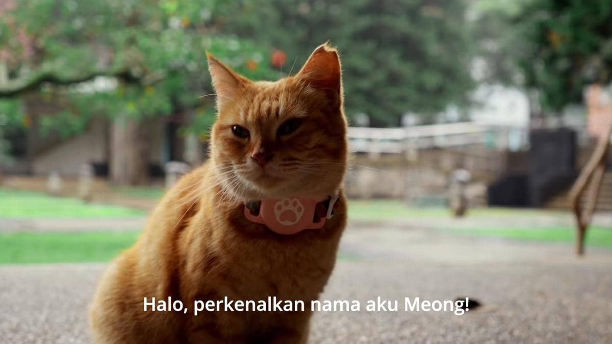 Trailer Meong!, film kucing ITB