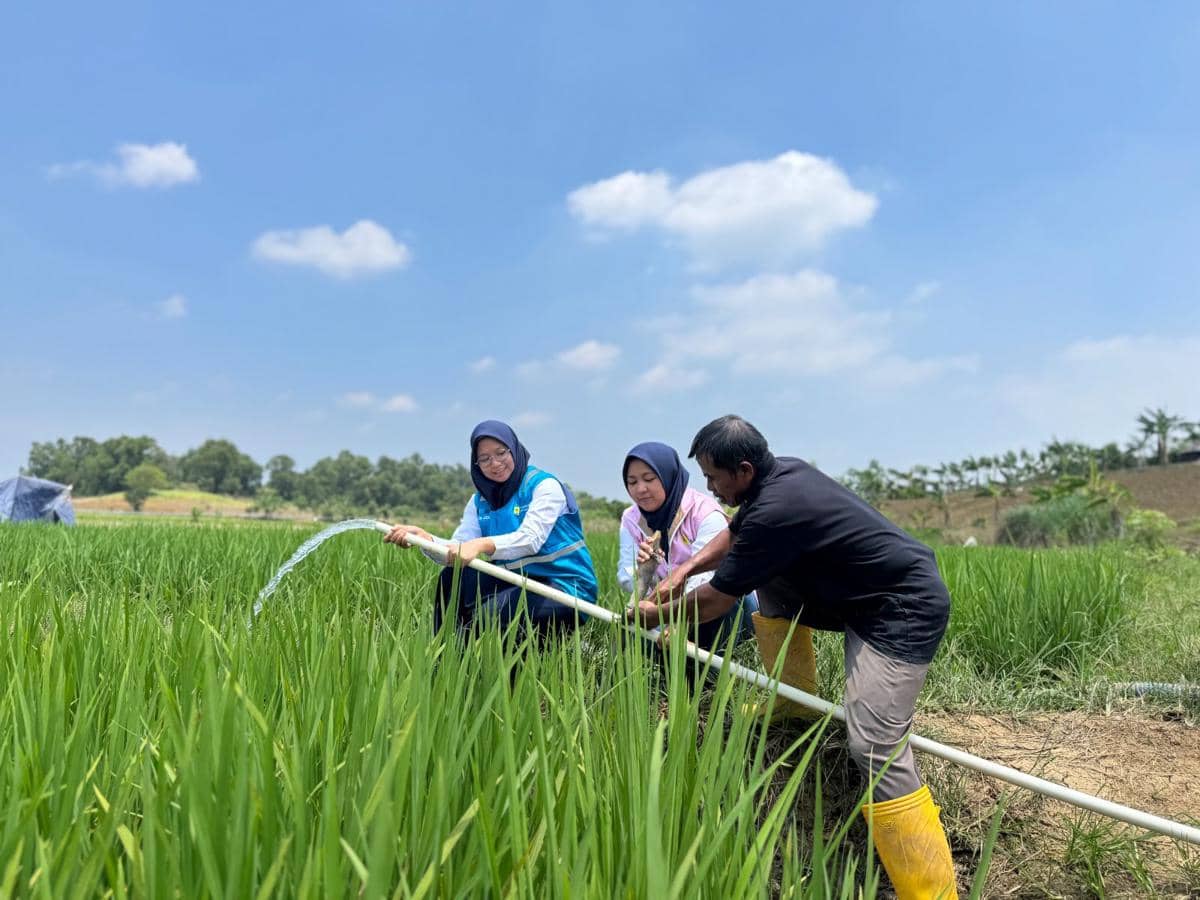 Musim Kemarau, Listrik PLN Bantu Petani Bekasi Tetap Produktif