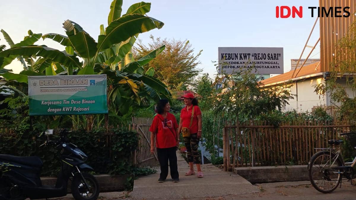 Ibu Marthin Kusumarahayu, Ketua Kelompok Wanita Tani (KWT) Rejosari yang terletak di Dusun Kledokan, Caturtunggal Depok, Sleman