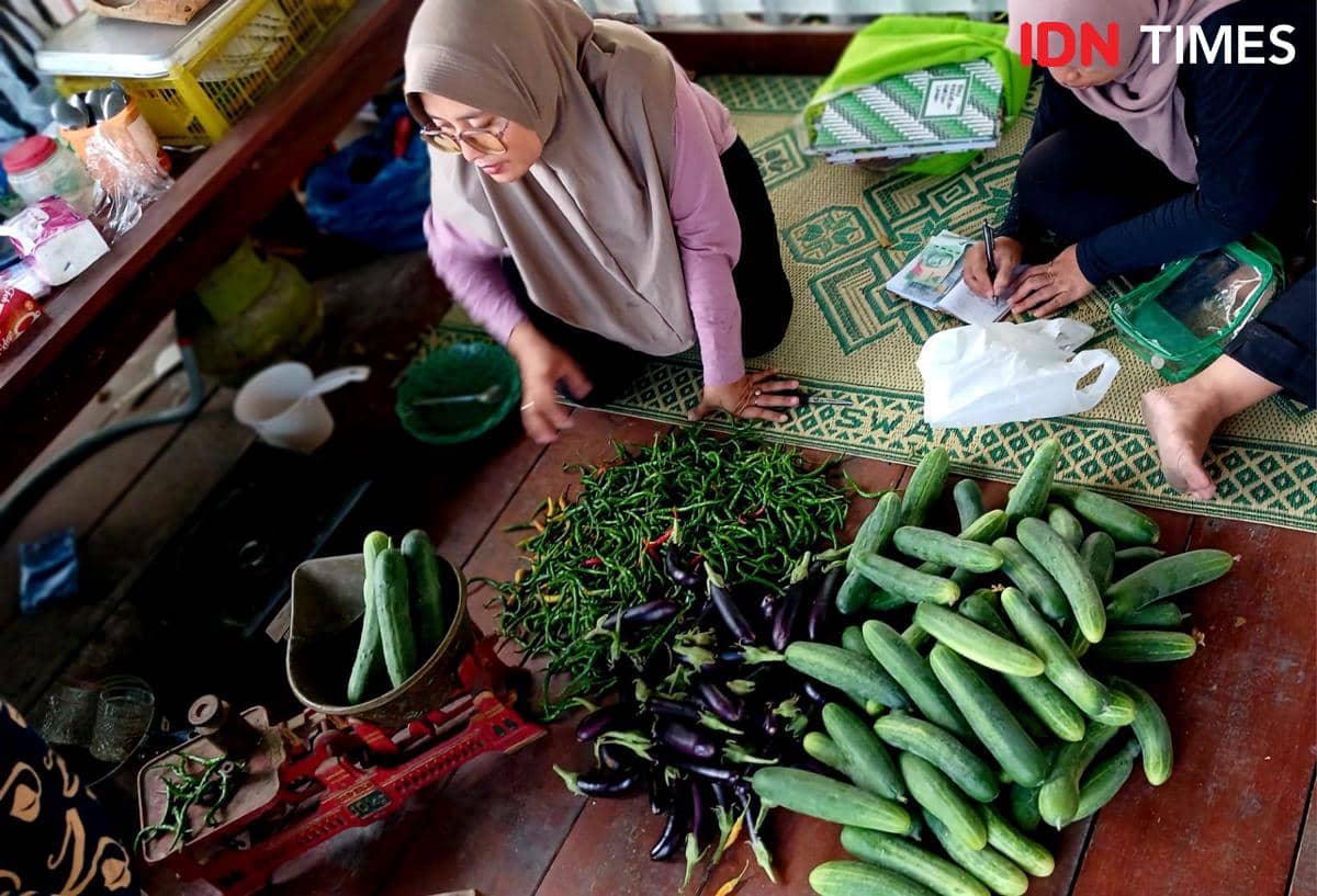 Anggota Kelompok Wanita Tani (KWT) Rejosari Dusun Kledokan, Caturtunggal sedang menimbang hasil panen. (IDNTimes/Febriana Sinta)