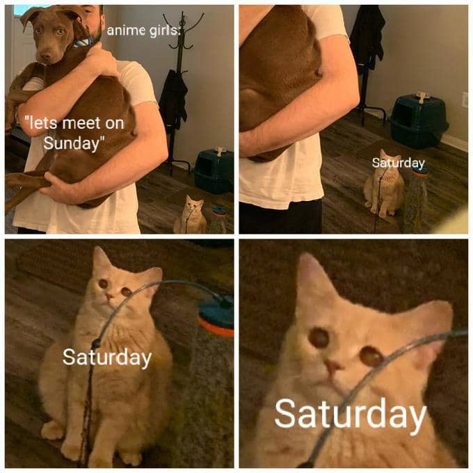 meme anime tentang Minggu