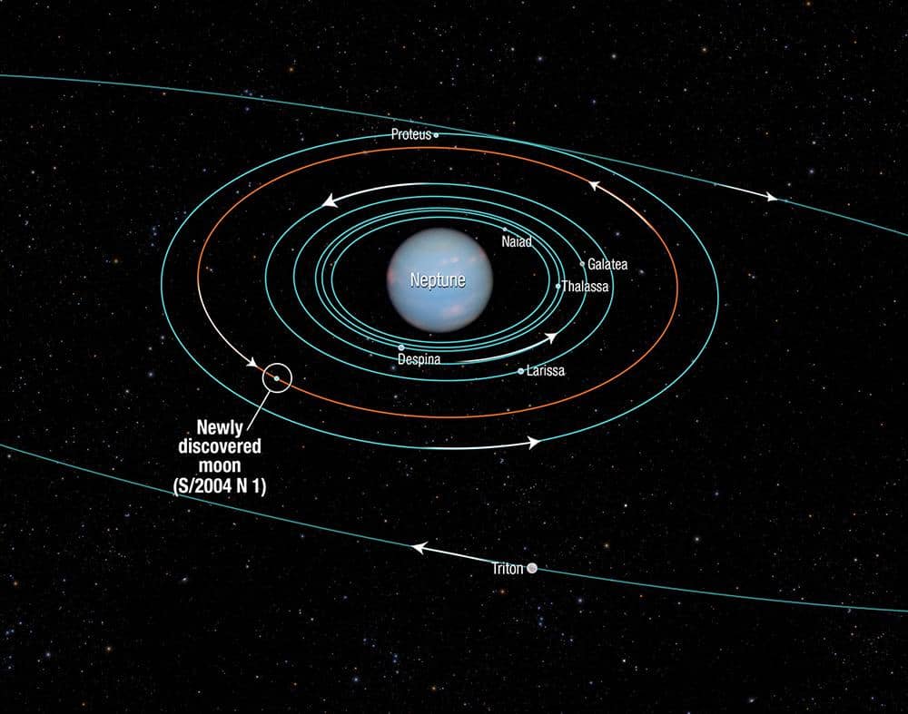 Orbit planet Neptunus