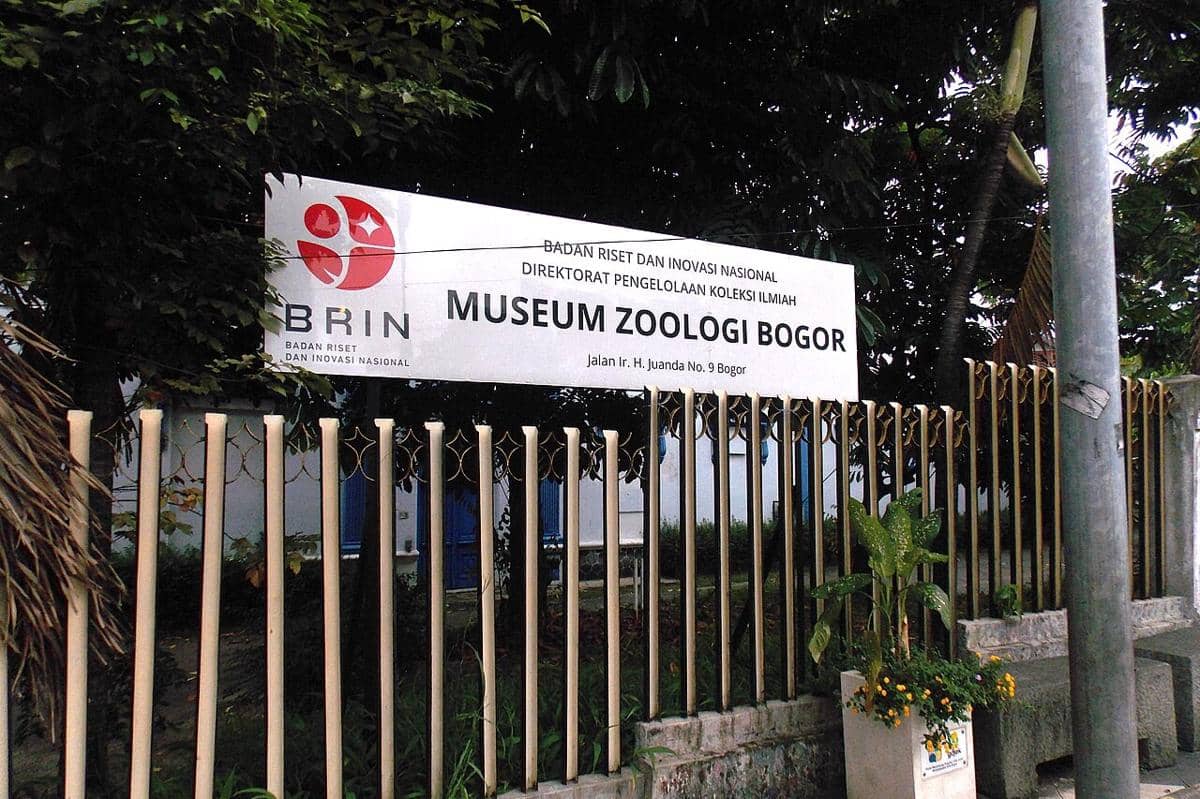 Museum Zoologi Bogor