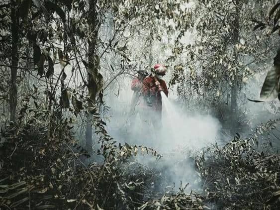 Hotspot Karhutla Turun 588 Titik, Operasi Darat Terus Diperkuat