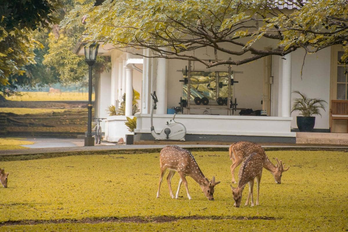 5 Tempat Wisata yang Tetap Menarik Saat Low Season di Jawa Barat