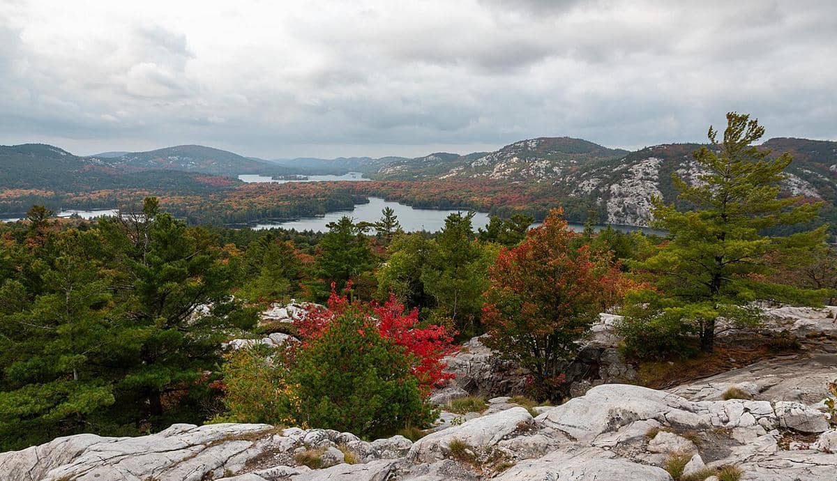 ilustrasi Canadian Shield (commons.wikimedia.org/Jason Wong)