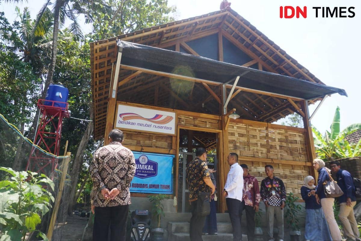 Kumbung jamur BUMKal Mulyo Rahayu di Tirtomulyo, Bantul, memanfaatkan sisa kayu jati dari produksi mebel PT BMN.
