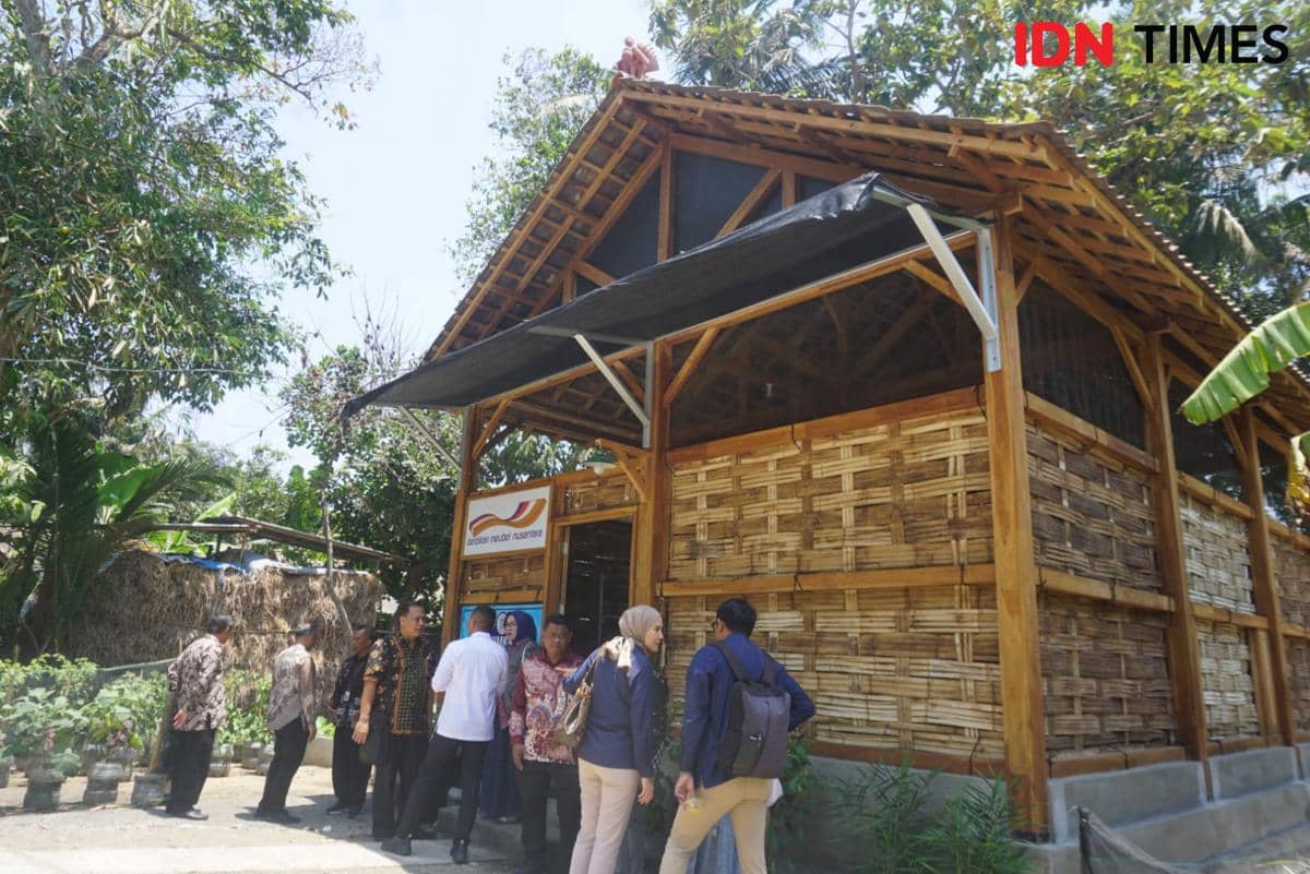 Kumbung Jamur Paling Mewah dari Sisa Kayu Jati Ekspor Ada di Bantul
