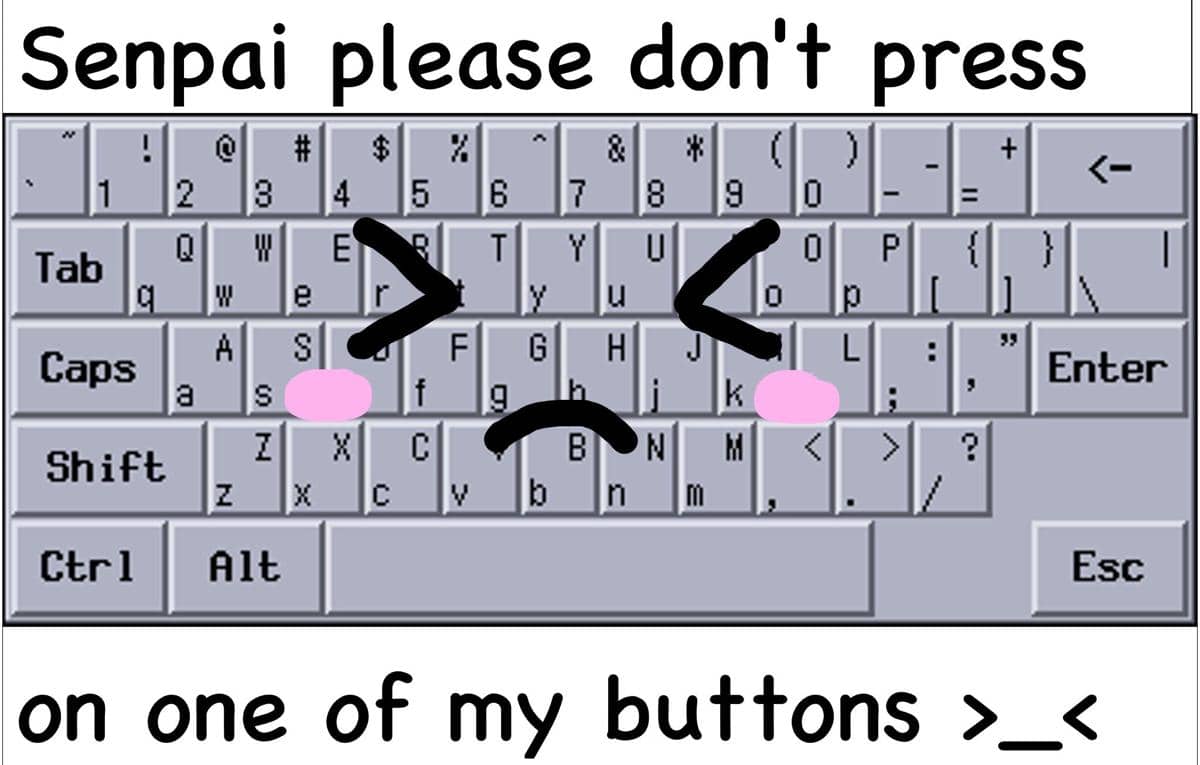meme anime tentang keyboard