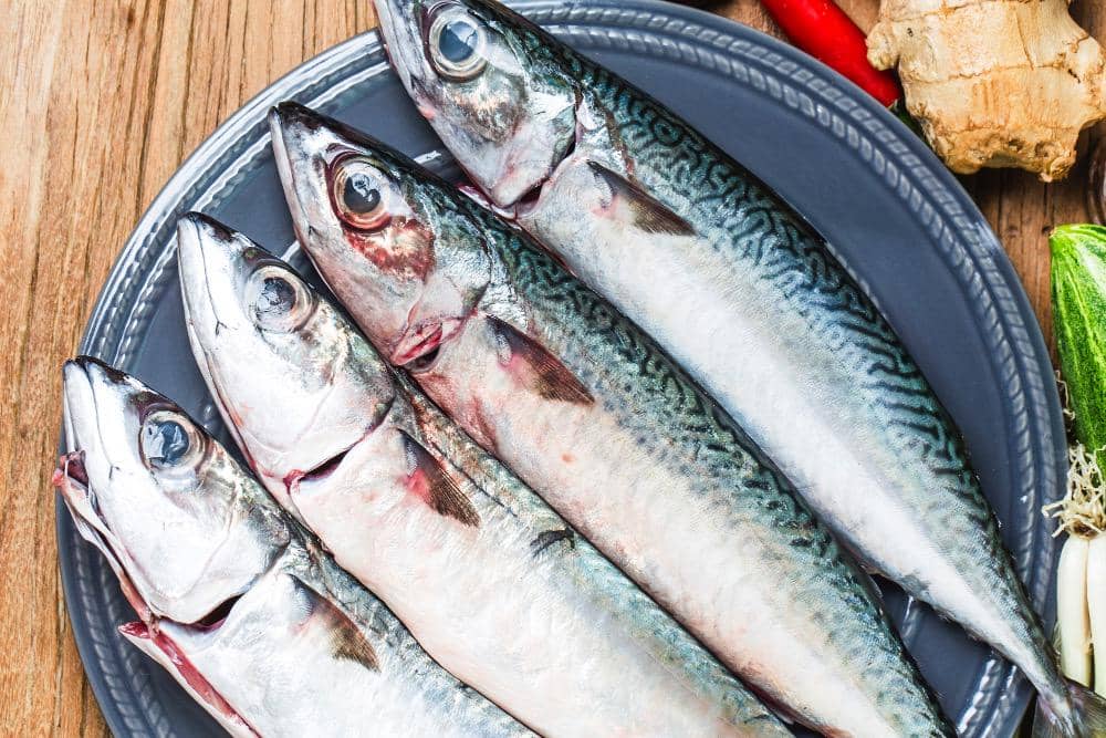 ilustrasi ikan tenggiri dan aneka rempah