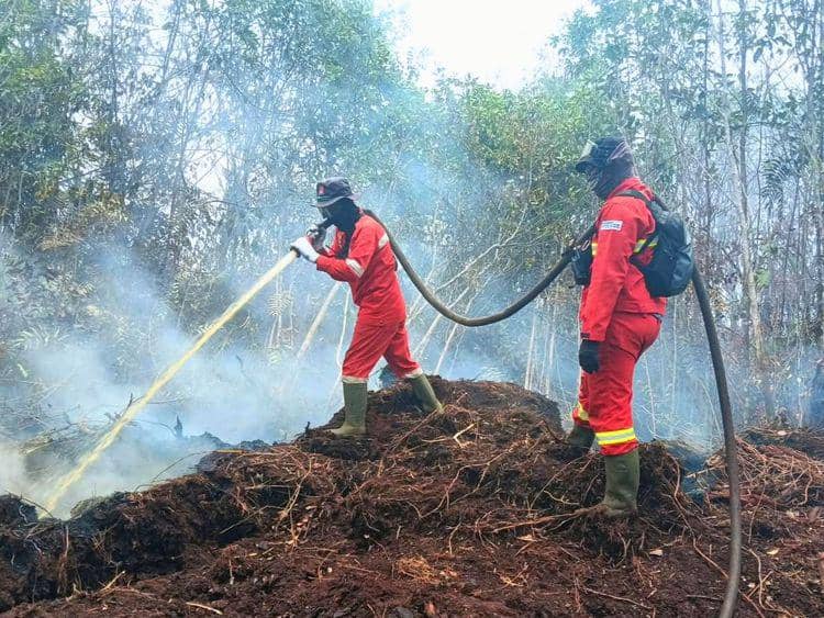 Riau-Jambi Nihil Hotspot Karhutla, Pengelolaan Gambut Diperkuat