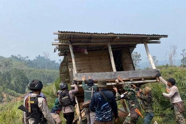 Kemenhut Kuasai 300 Hektare Lahan Gajah dan Musnahkan 627 Sawit di Seblat