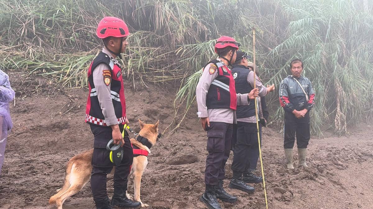 Tim K9 menelusuri lokasi bencana di Kabupaten Solok (Foto: Polda Sumbar)