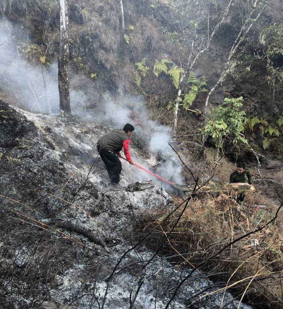 Karhutla Rinjani Meluas, 977 Hektare Hutan Dilalap Api