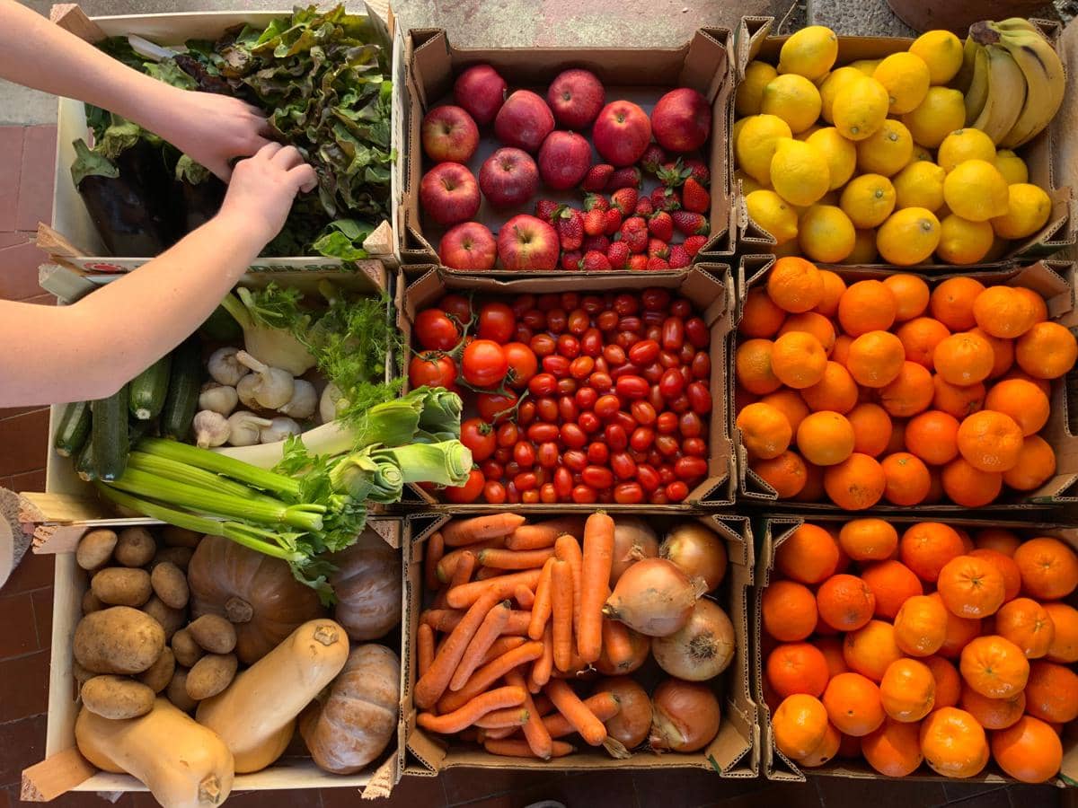 ilustrasi memeriksa kualitas bahan segar