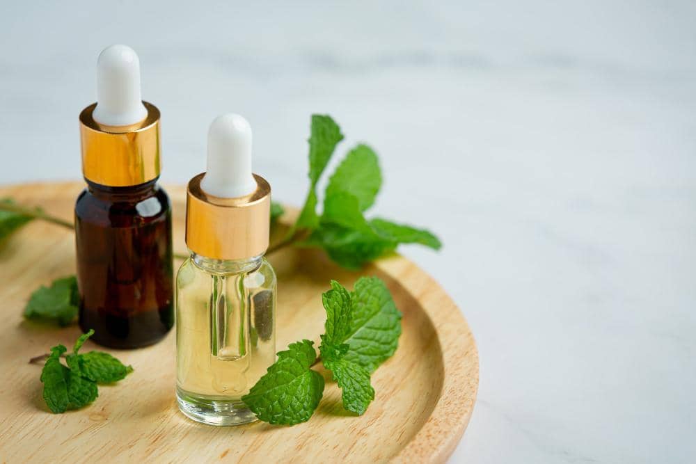 ilustrasi essential oil peppermint