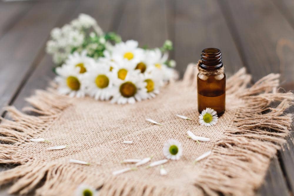 ilustrasi essential oil chamomile