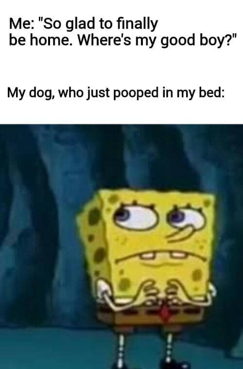 meme SpongeBob tentang kekecewaan