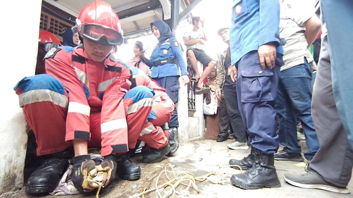 Buaya Peliharaan Warga Balam Dievakuasi, Jadi Milik Negara