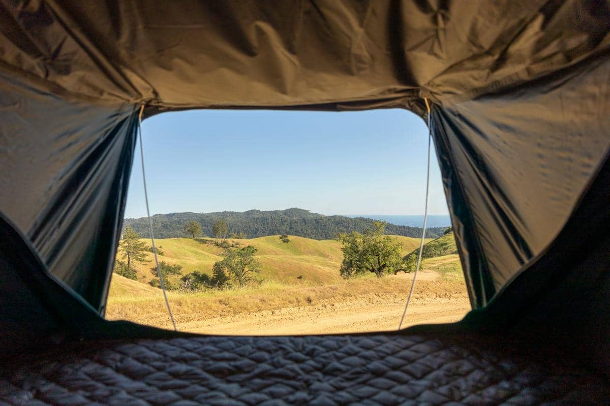 ilustrasi camping