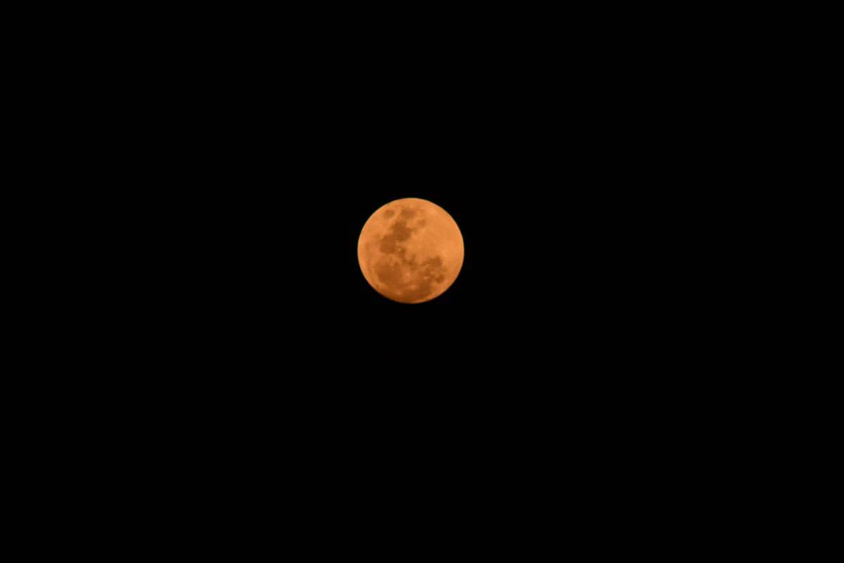 harvest moon