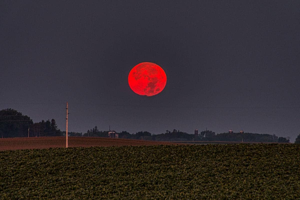 ilustrasi harvest moon