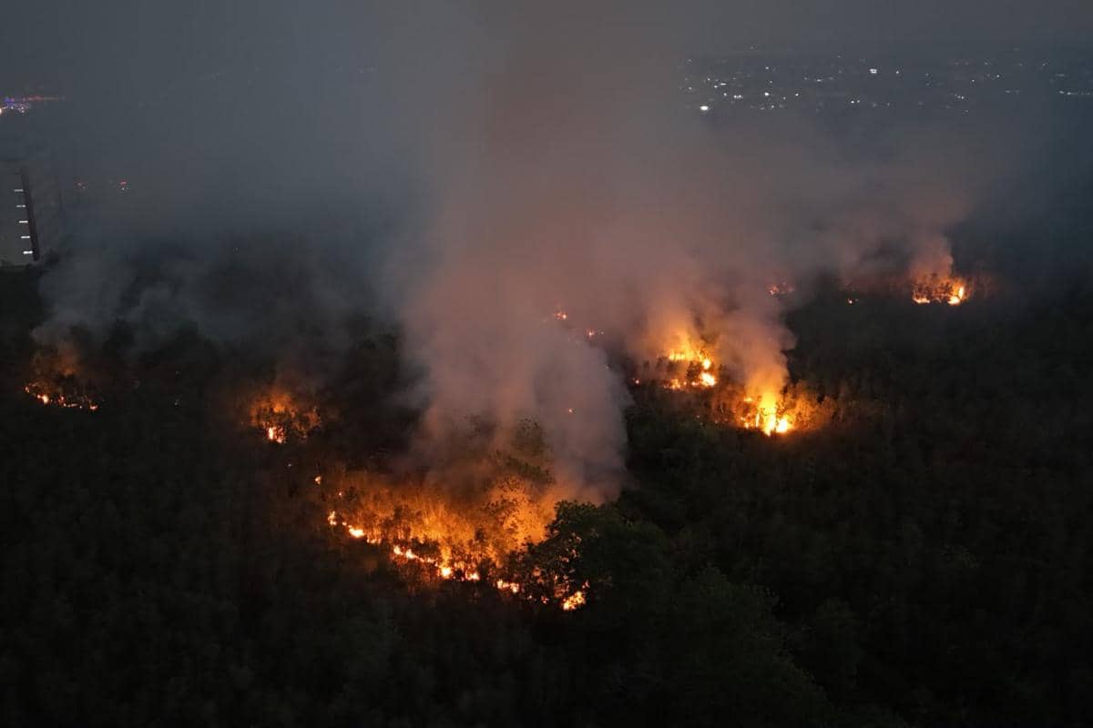 kebakaran hutan di Kota Palangka Raya, Kalimantan Tengah