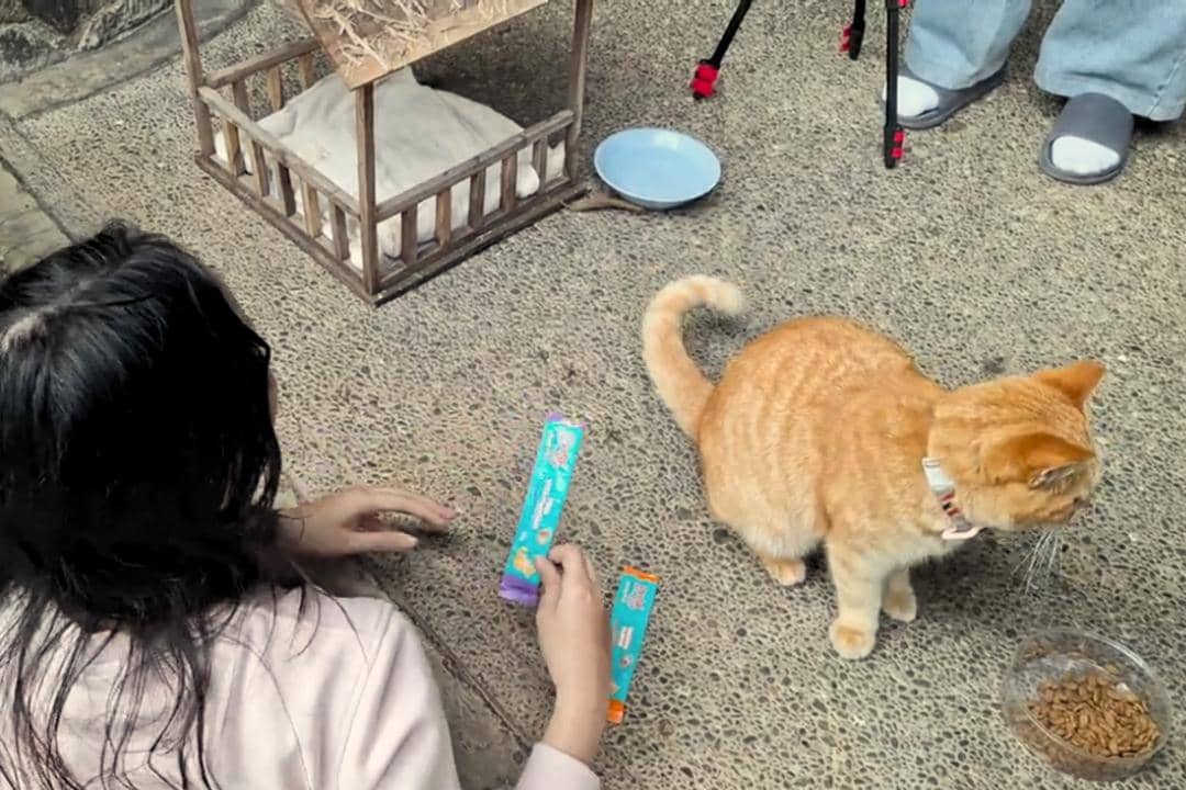 Di balik layar film pendek Meong! 