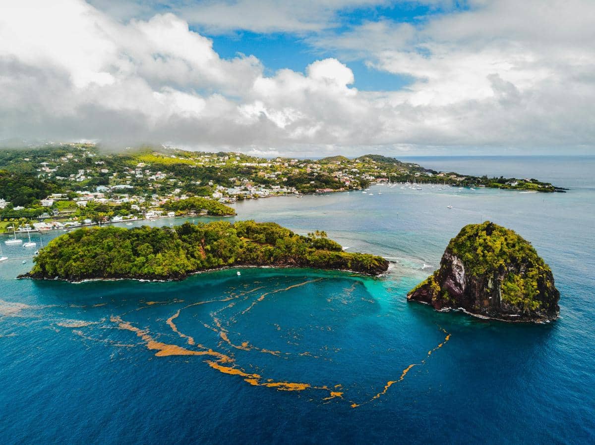 Young Island di St. Vincent dan Grenadines
