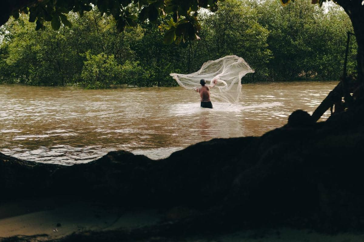 menjaring ikan di sungai