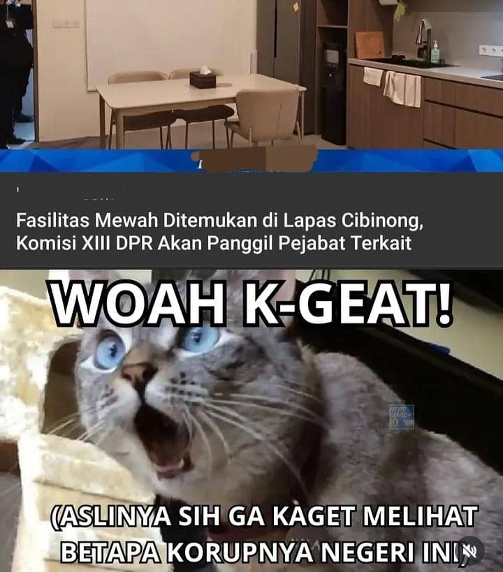 meme viral