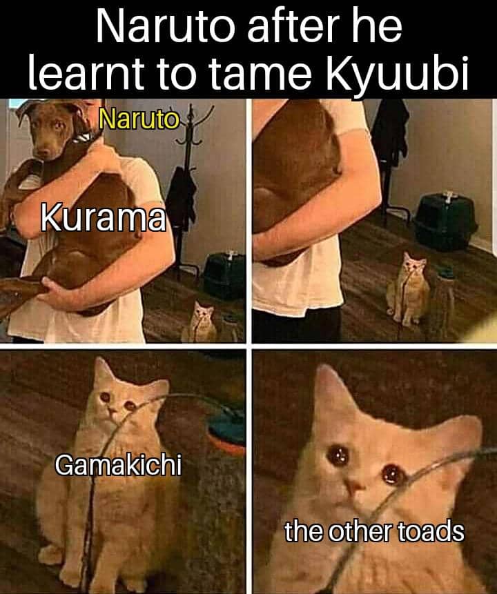meme Naruto tentang katak