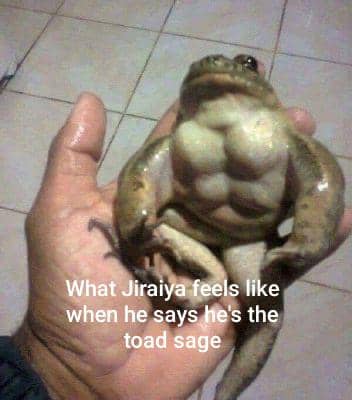 meme Naruto tentang katak