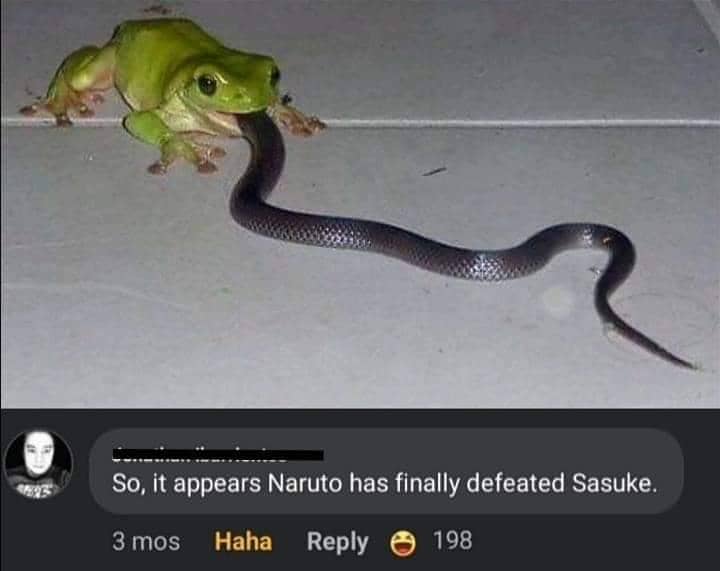 meme Naruto tentang ular