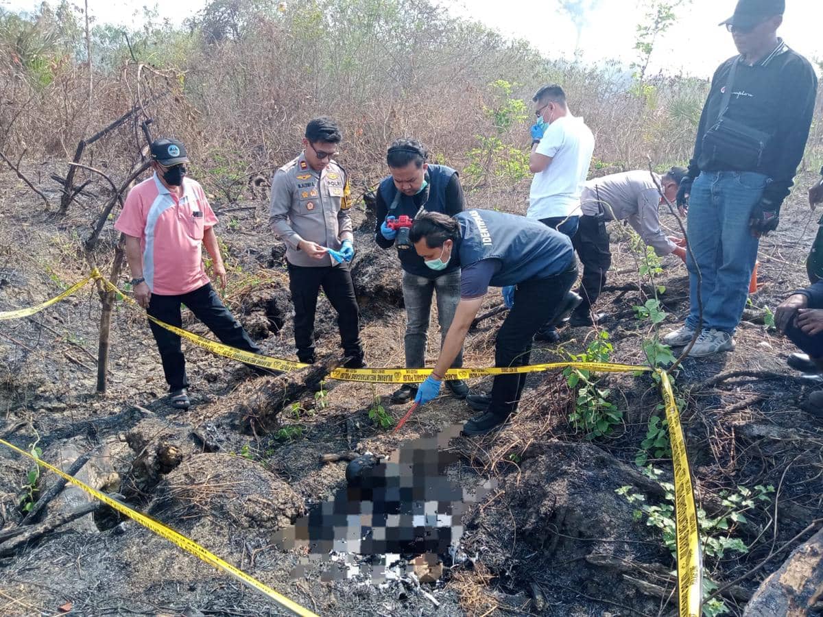 Kerangka Manusia Ditemukan di Lahan Hutan Bekas Terbakar